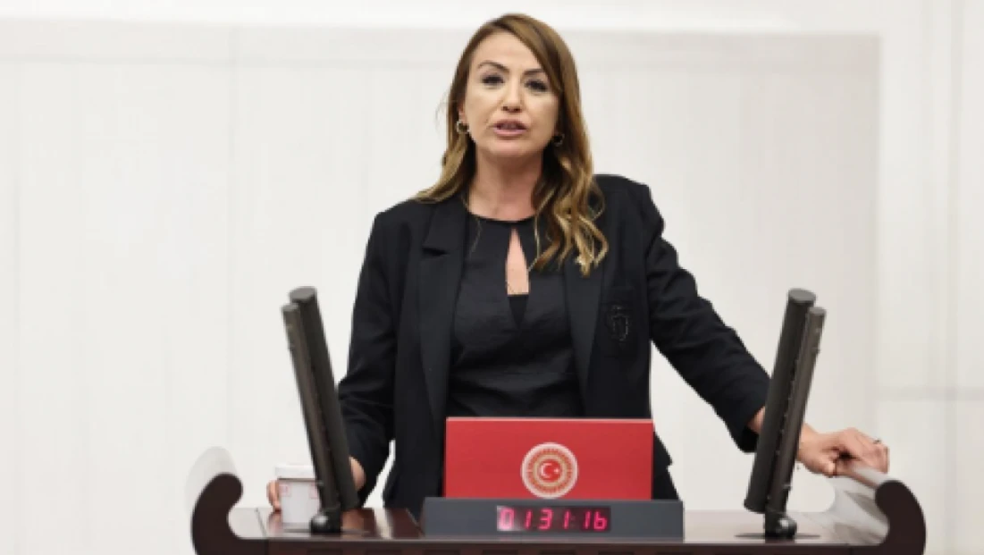 Hataylı vekilden sert tepki: ‘Tarihimize kara bir leke olarak geçmiştir’