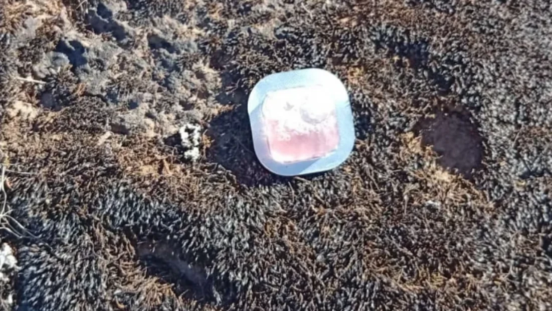 Kırsalda bulunan şüpheli ilaçlar endişelendirdi:  Gerçek bakanlık açıklamasıyla ortaya çıktı!