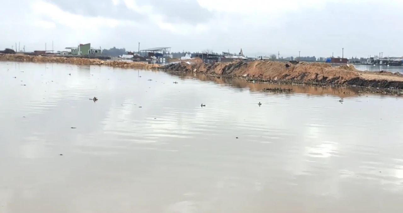 Evler ve ahırlar sular altında: CHP'li vekilden sert çıkış!