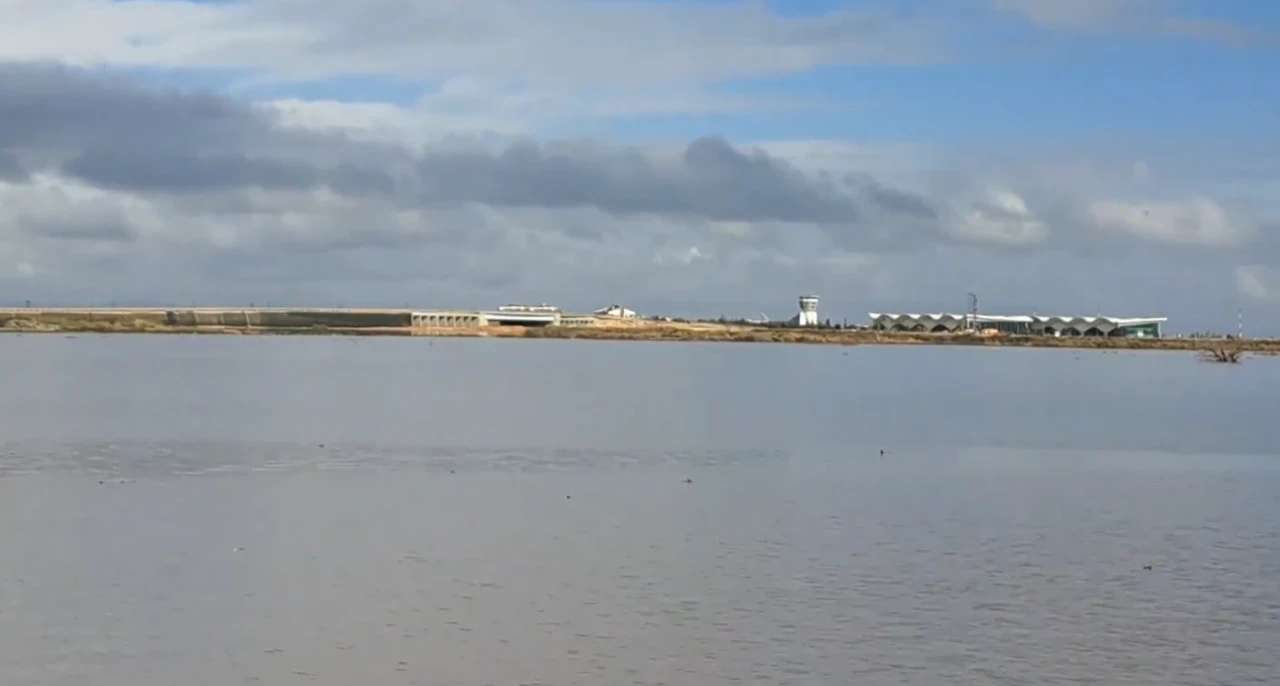 Evler ve ahırlar sular altında: CHP'li vekilden sert çıkış!