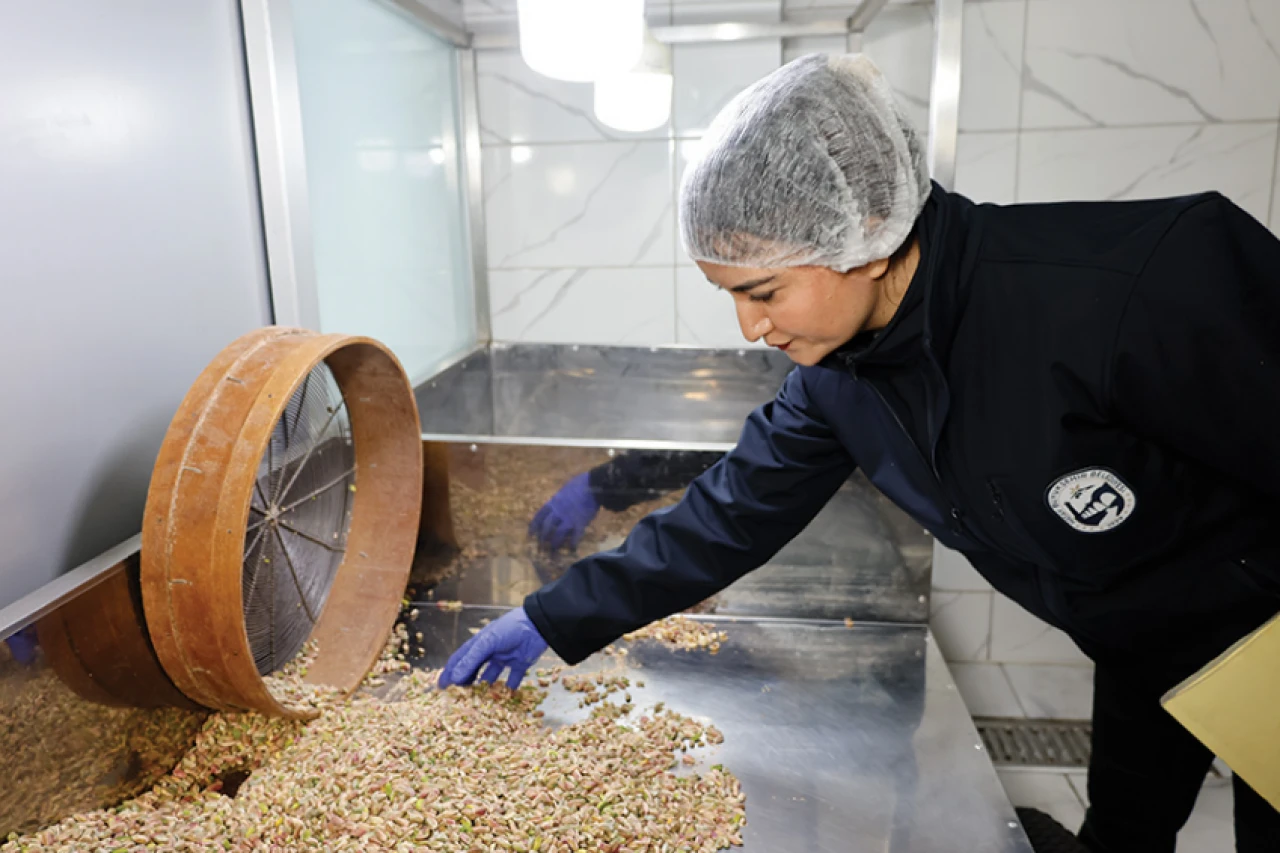 Hatay'da ekipler sahaya indi: Mücadele üst düzeyde!