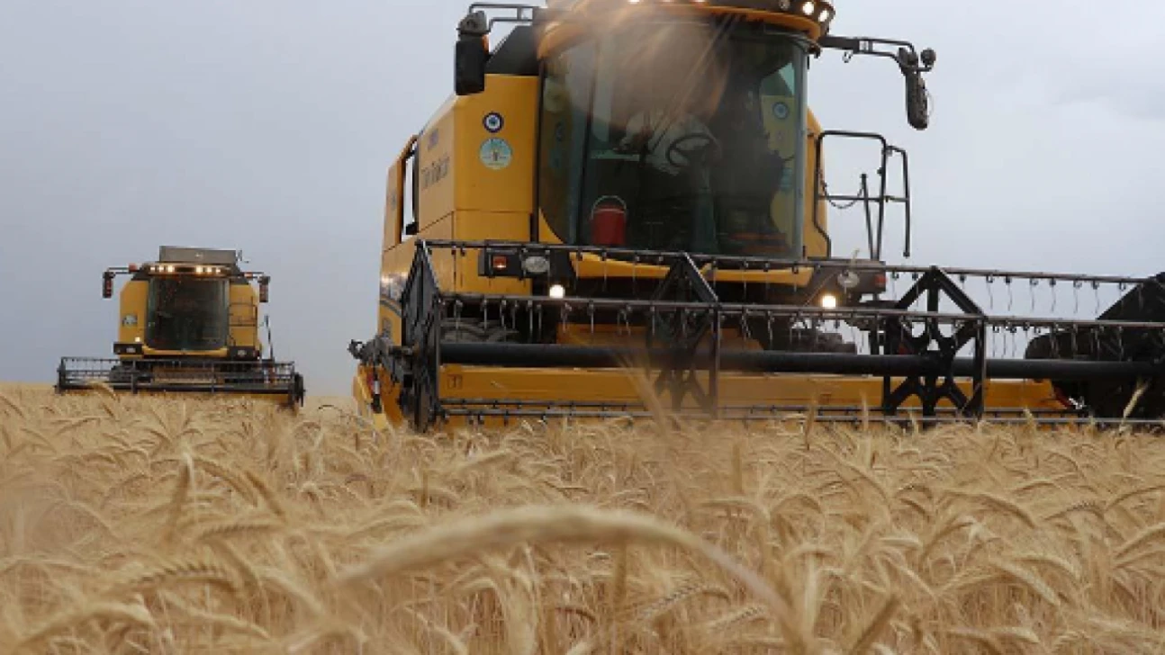 Bakan'dan müjde: Hesapları kontrol etmeyin unutmayın: Ödemeler yapıldı!