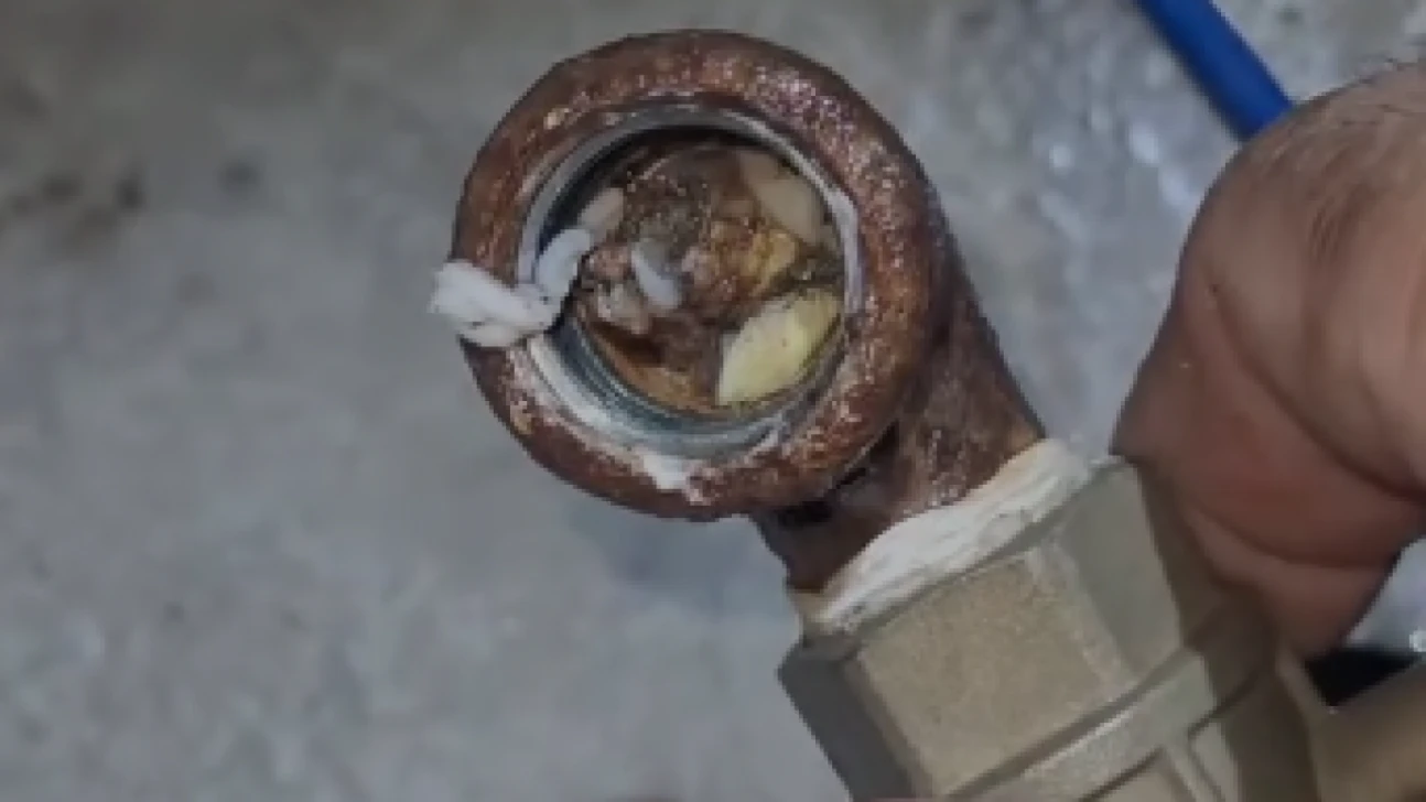 Hatay'da akılalmaz olay: Su sayacından yılan fışkırdı!