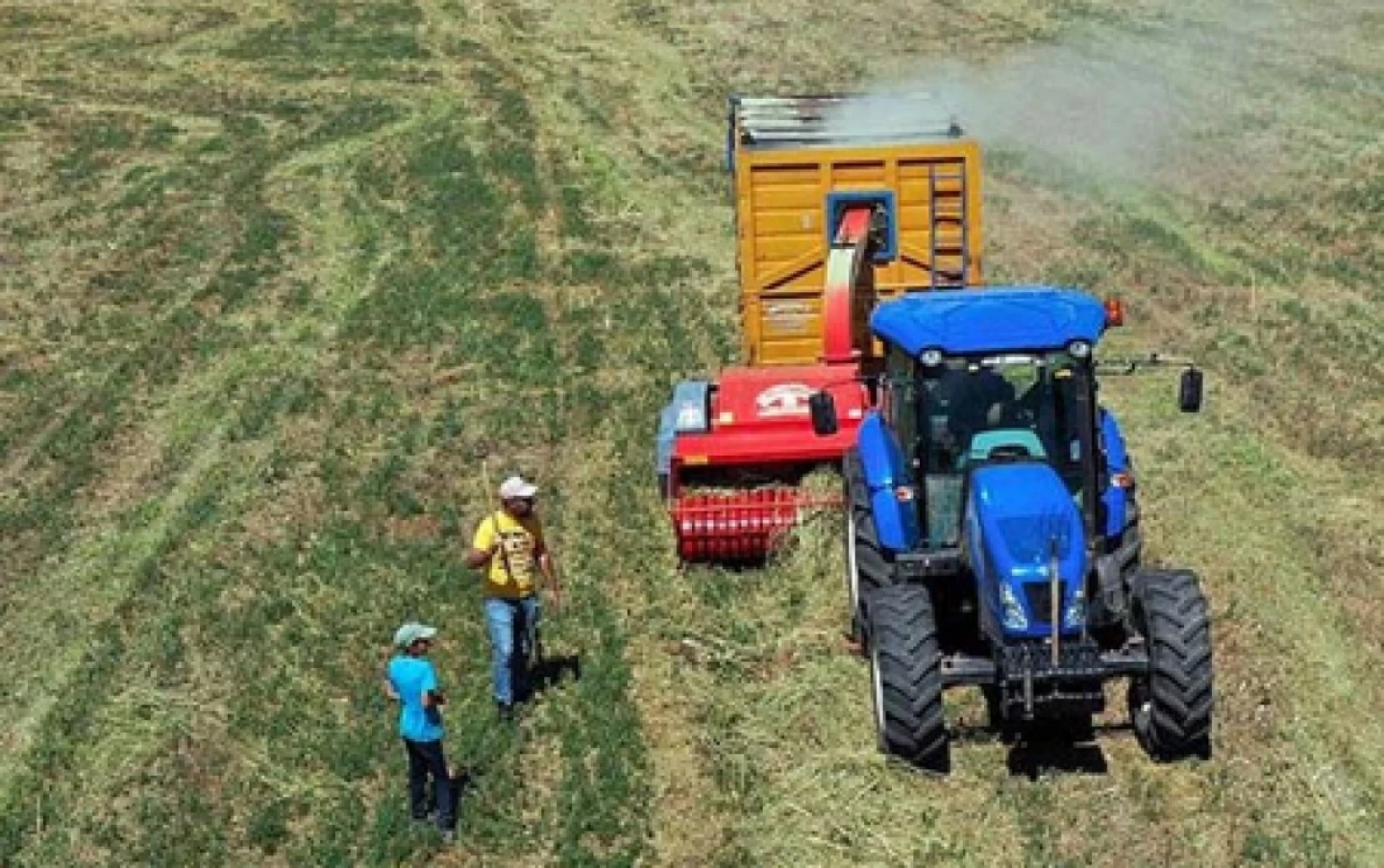 Çiftçilere müjde: 349 milyon liralık destek ödemesi hesaplarda
