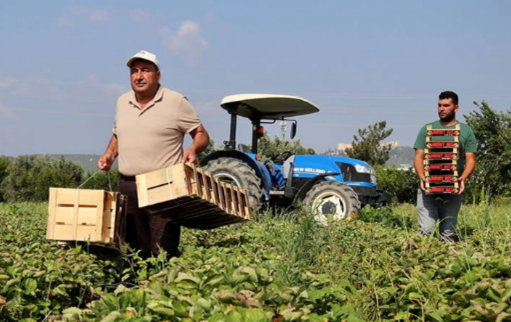 Bakan Yumaklı'dan Hataylılara müjdeli haber: Ödemeler bugün başlıyor! Hesapları kontrol etmeyi unutmayın!
