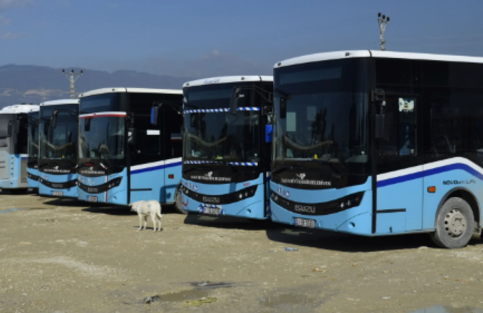 Hataylılar dikkat: Toplu taşımada yeni düzenleme!