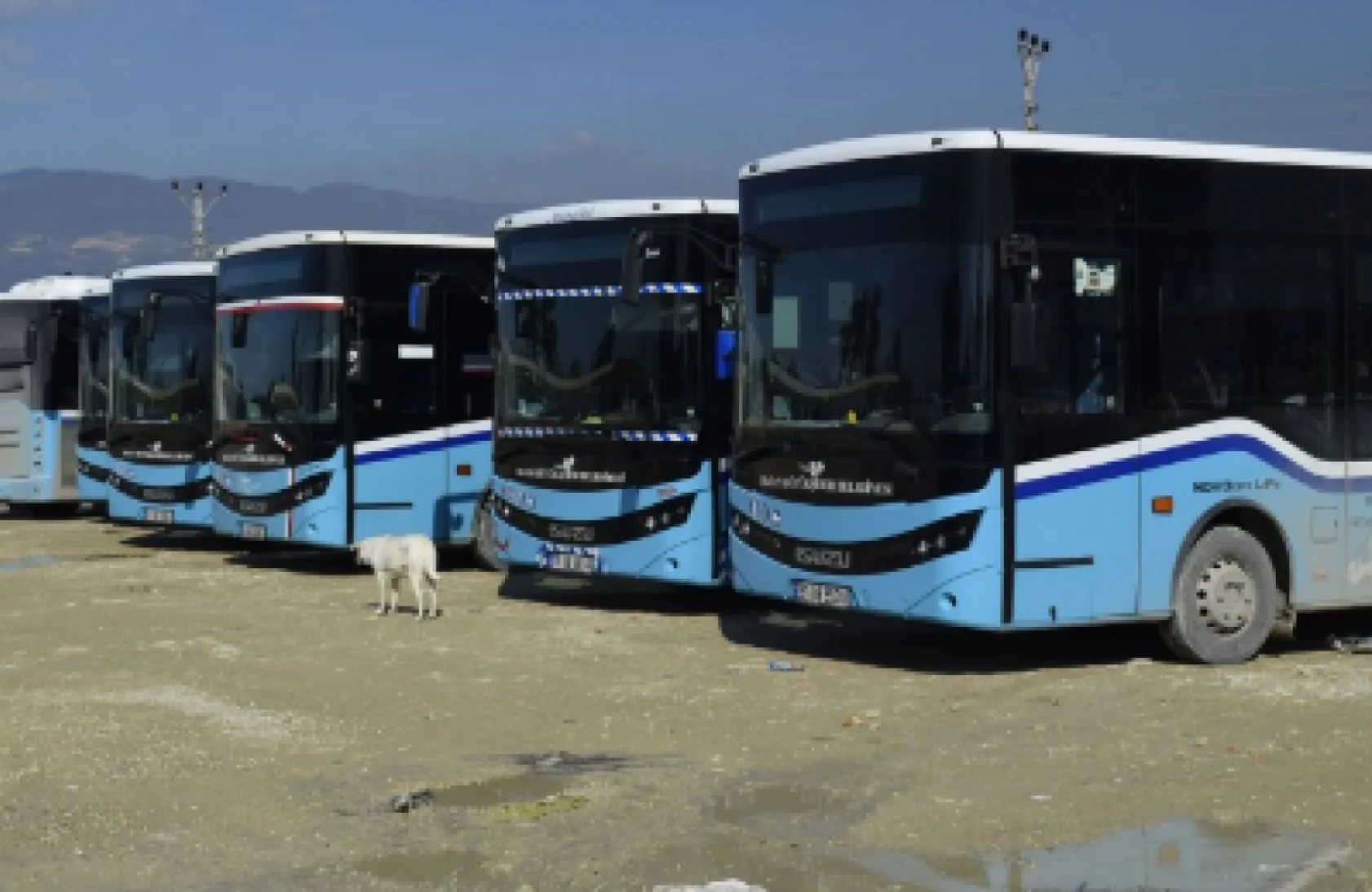 Hatay'daki birçok ilçeye yeni  toplu ulaşım güzergahı oluşturulacak!