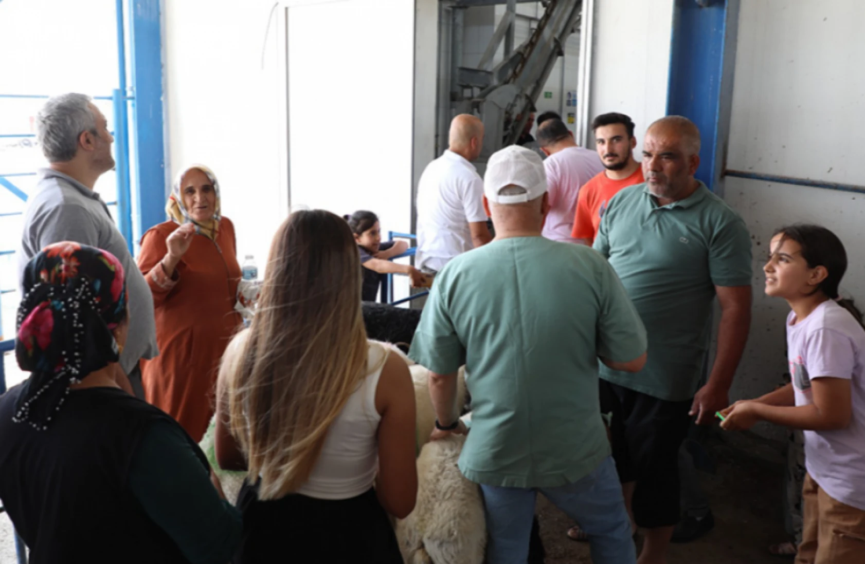 Yetkililer açıkladı: Hatay'da kurbanlıklar ücretsiz kesilmeye devam edilecek mi?