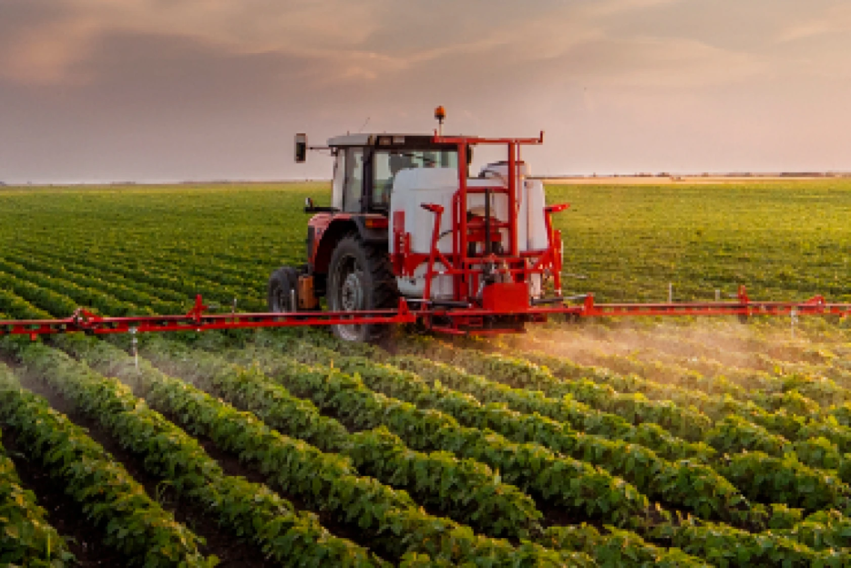 Bakan Yumaklı'dan Hataylılara müjdeli haber: Ödemeler bugün başlıyor! Hesapları kontrol etmeyi unutmayın!