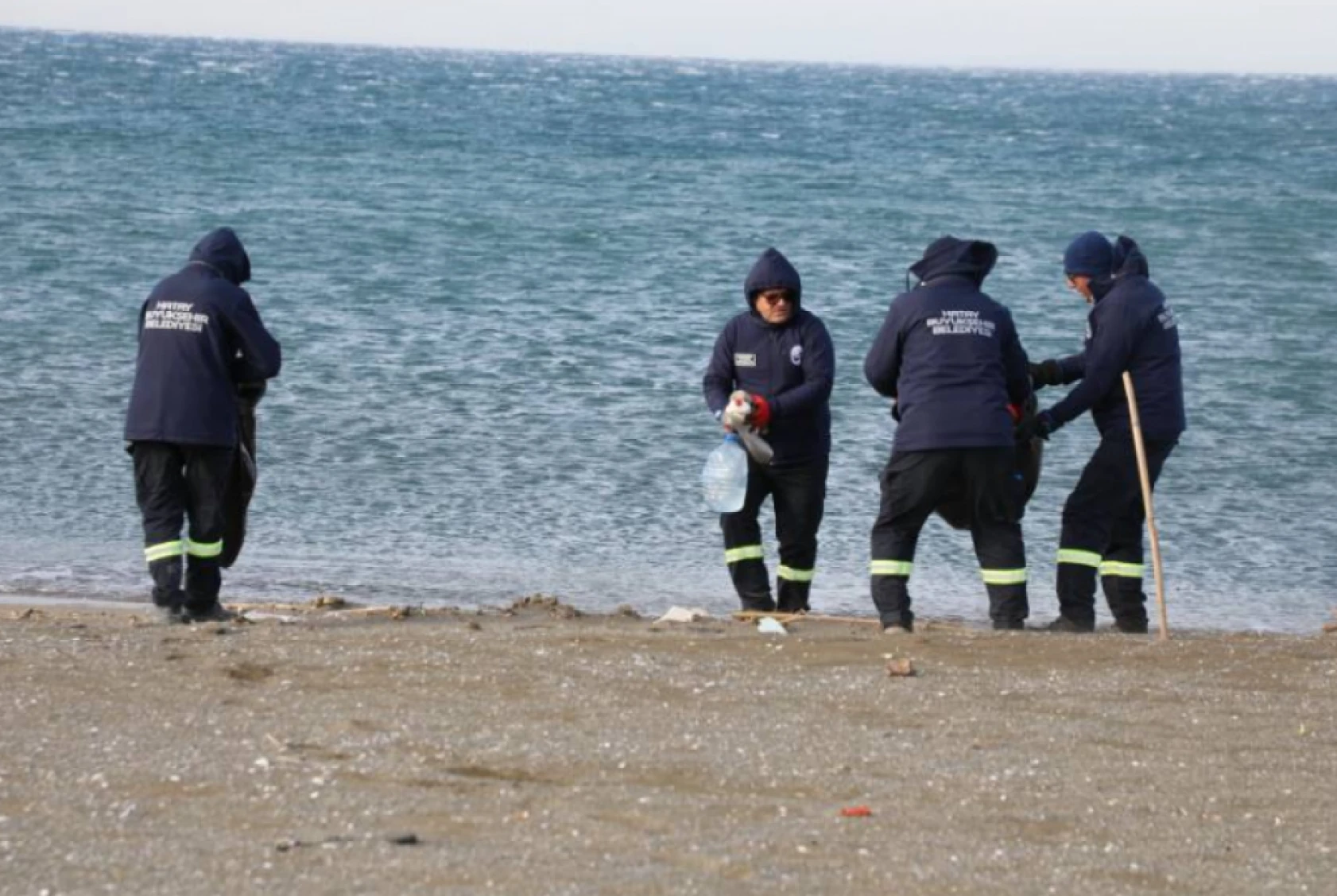 Hatay'daki sahiller yaza hazırlanıyor!