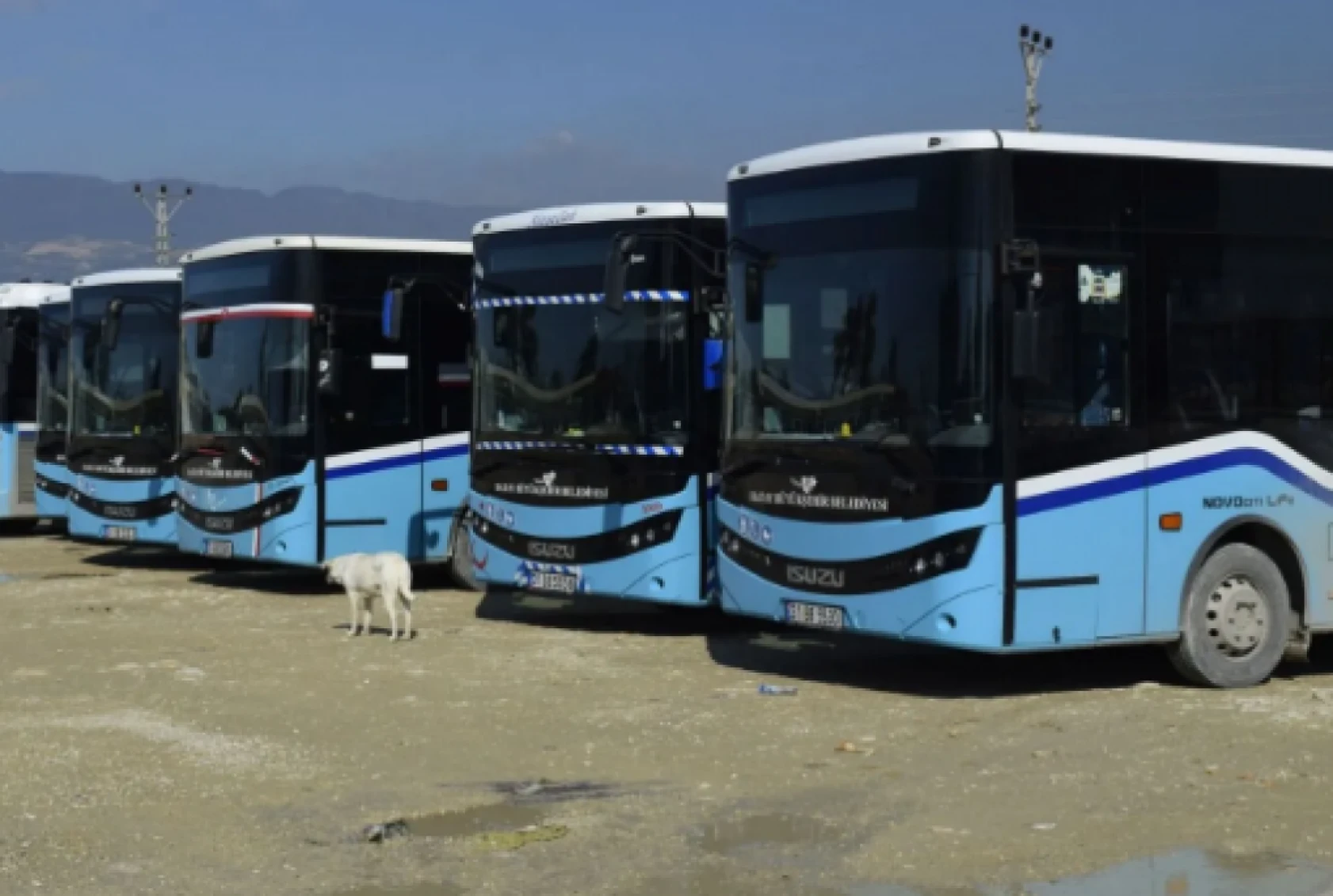 Hatay'da toplu taşıma araçları  hangi güne kadar ücretsiz hizmet verecek?