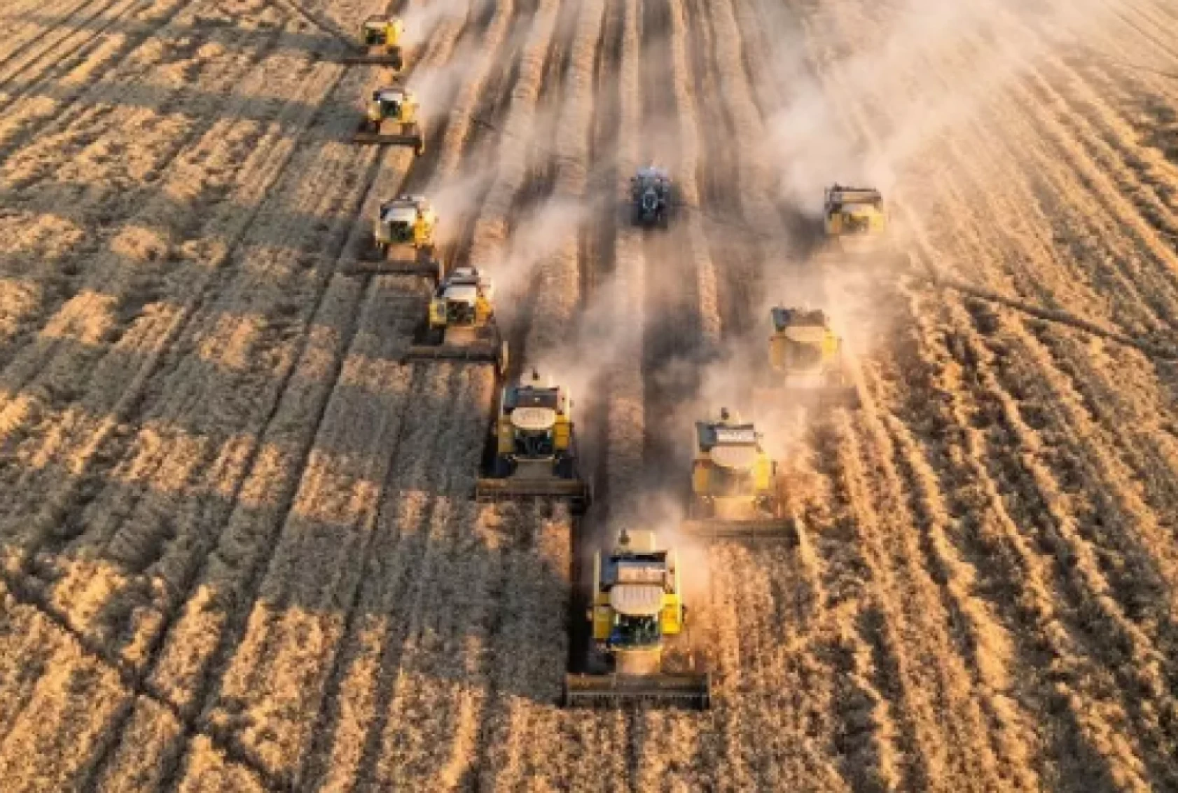 Çiftçilere müjde: 349 milyon liralık destek ödemesi hesaplarda