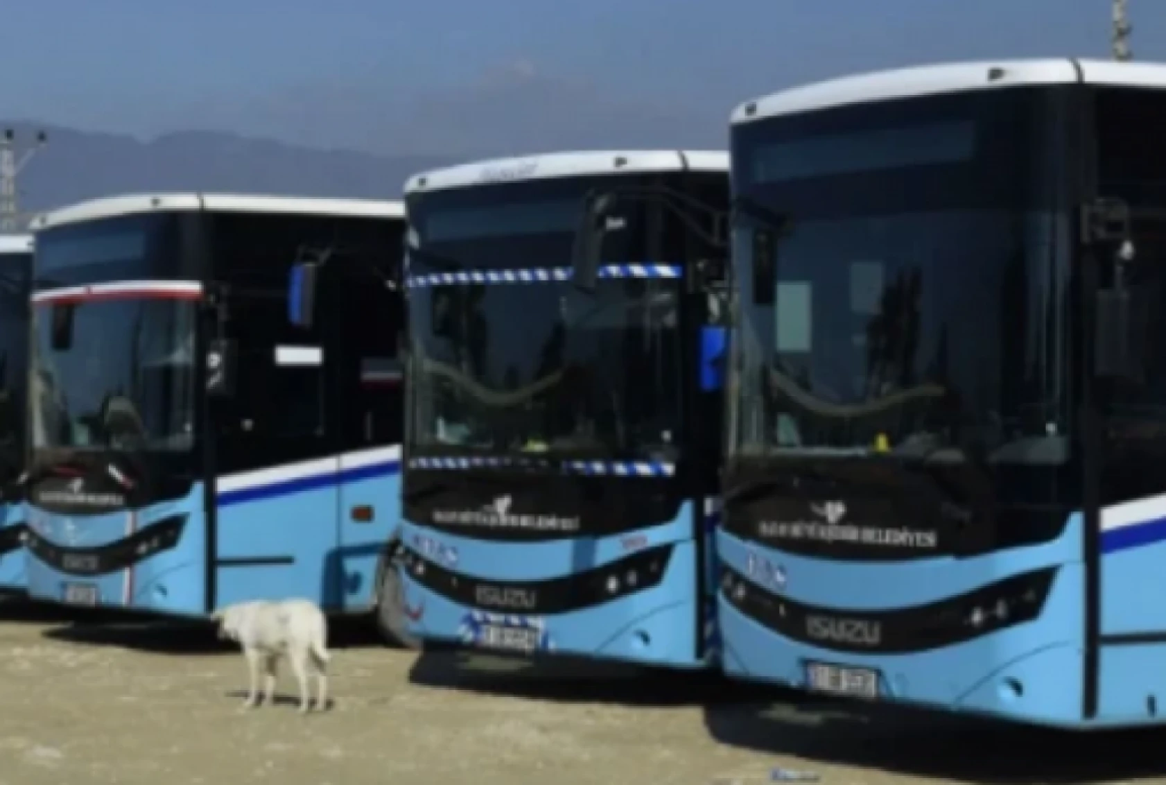 Hatay'da yeni açılan otobüs hattı 2 ilçeyi birbirine bağlayacak: Birçok mahalleye uğrayacak!