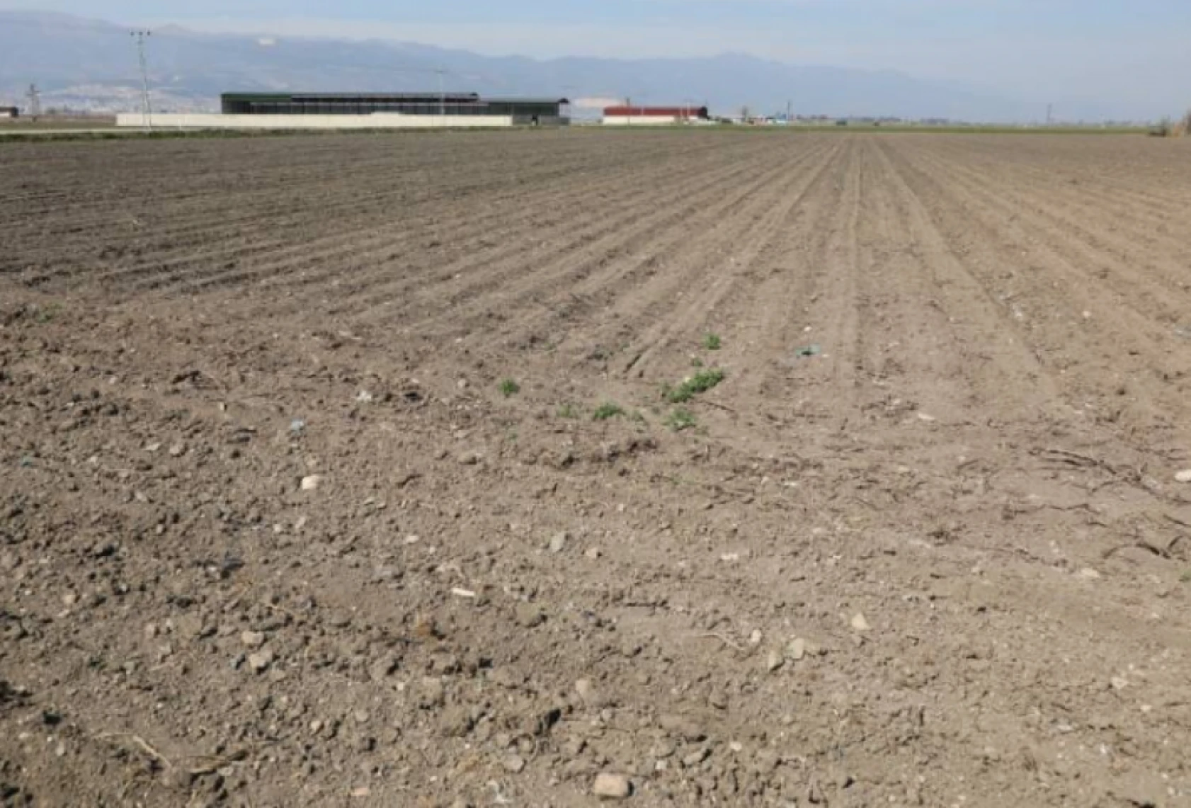 Hatay'daki çiftçilerin beklediği uygulama başladı!