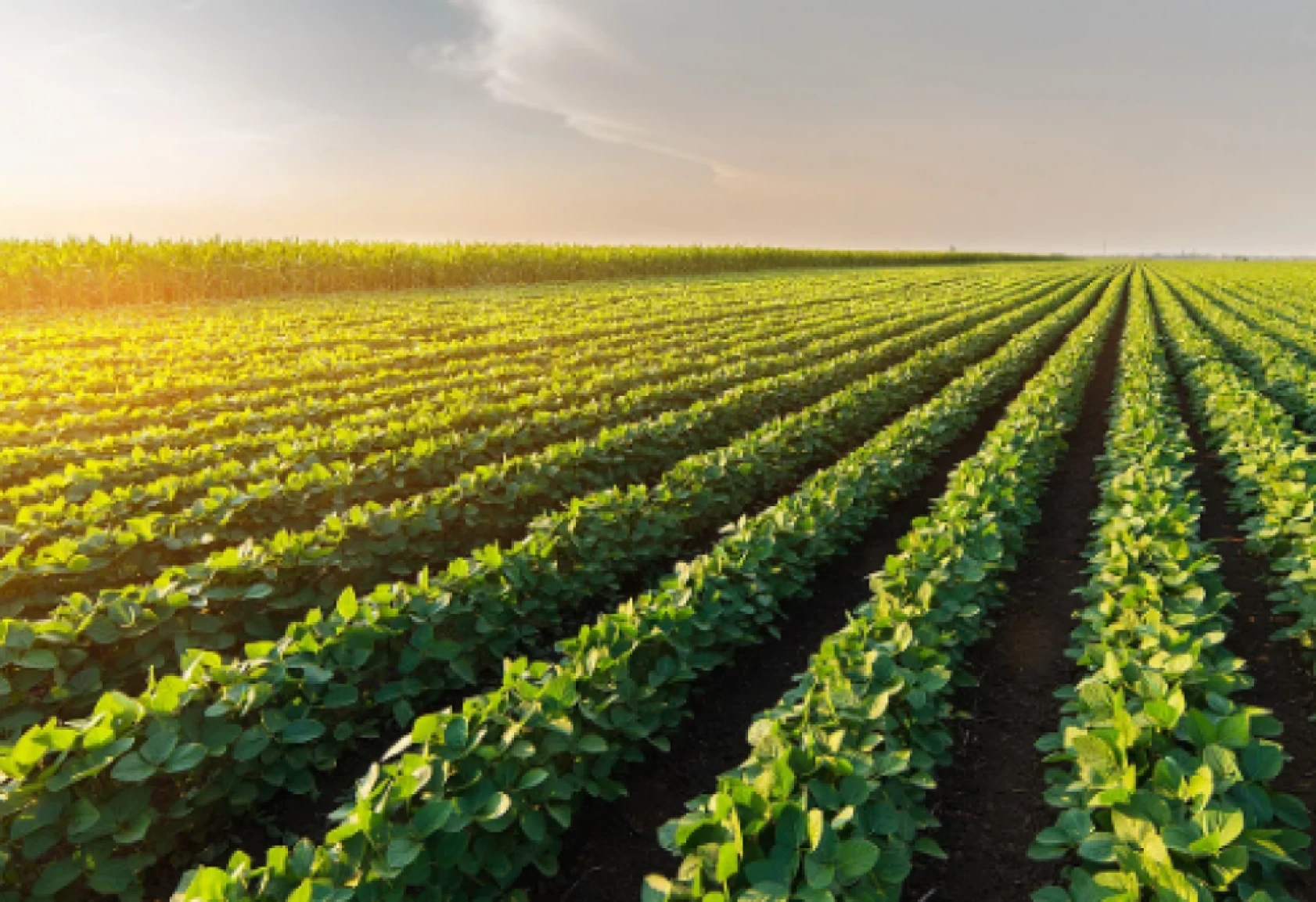 Bakan Yumaklı'dan Hataylılara müjdeli haber: Ödemeler bugün başlıyor! Hesapları kontrol etmeyi unutmayın!