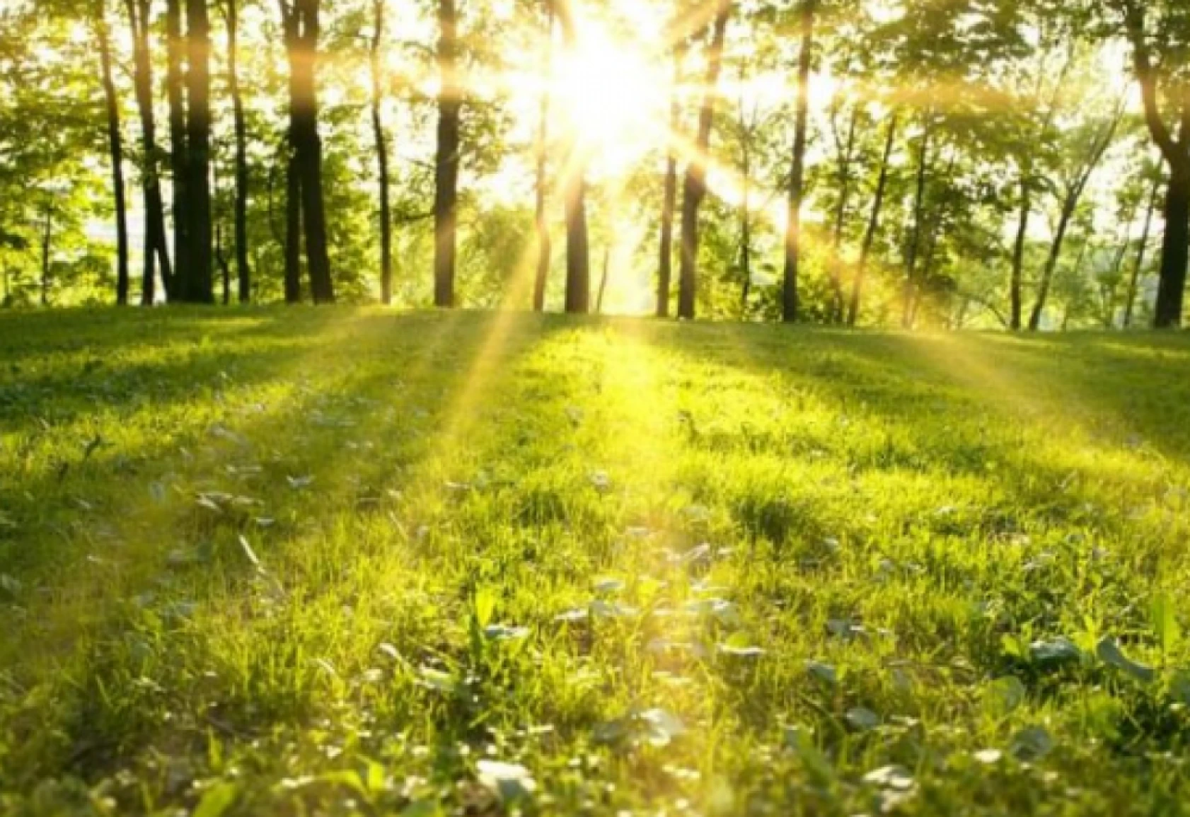 Meteoroloji Hatay'ı uyardı: Peki, kent genelinde hava durumu nasıl olacak?