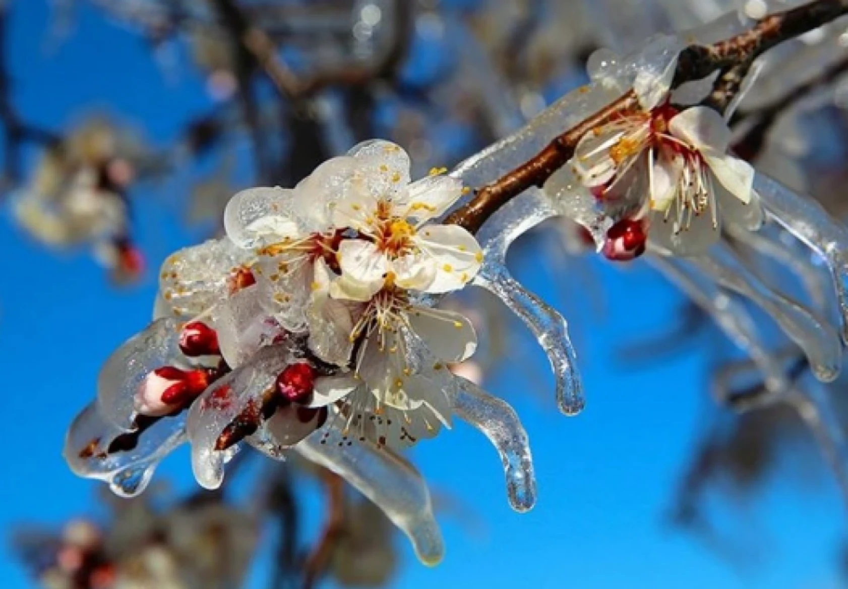 Hatay'a sıcaklıklar düşüyor: Peki yağışlı hava devam edecek mi?