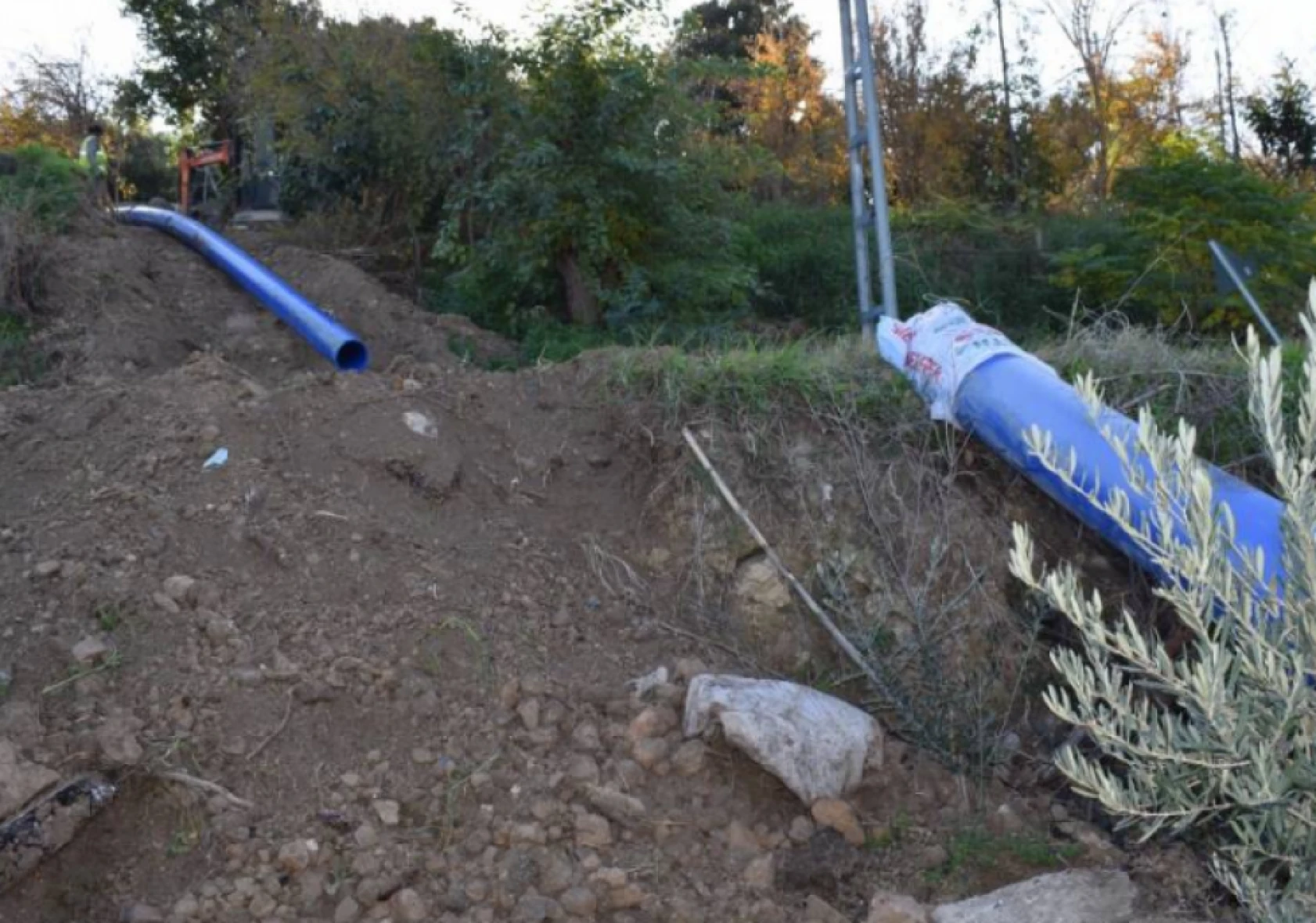 Hatay'da çiftçilere destek çalışmaları devam ediyor!
