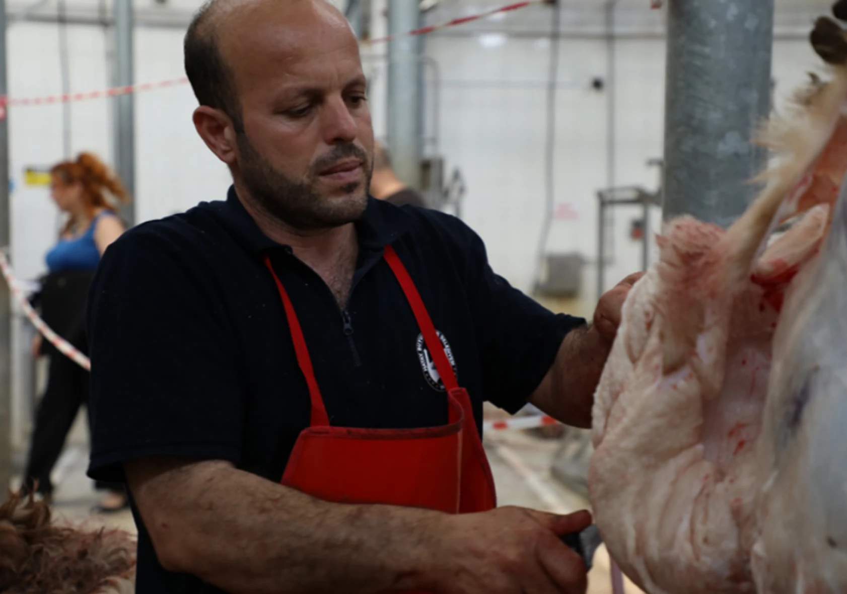 Yetkililer açıkladı: Hatay'da kurbanlıklar ücretsiz kesilmeye devam edilecek mi?