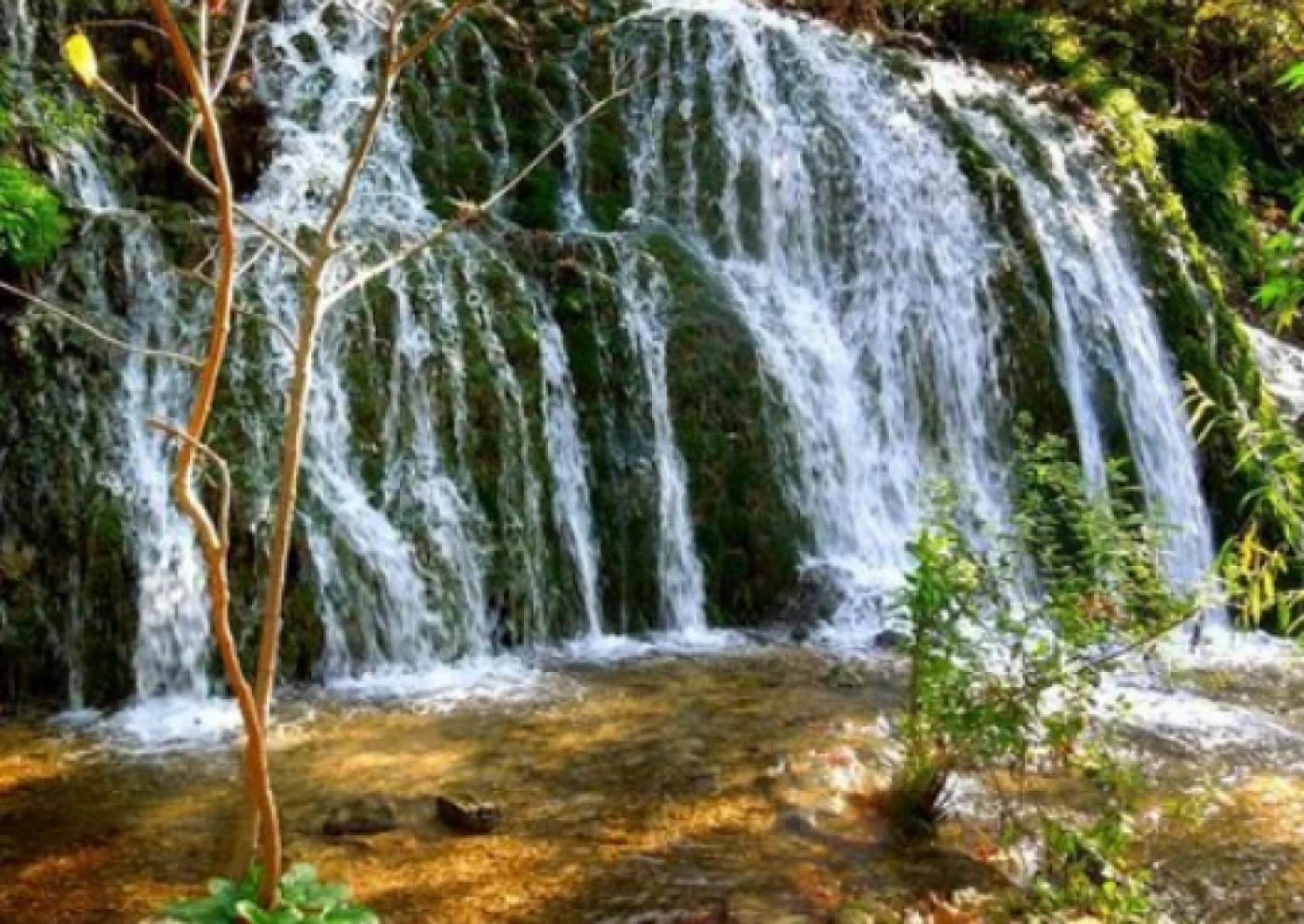 Hataylı vekil Harbiye Şelalesini hatırlattı: 'Harbiye Şelaleleri can çekişiyor'