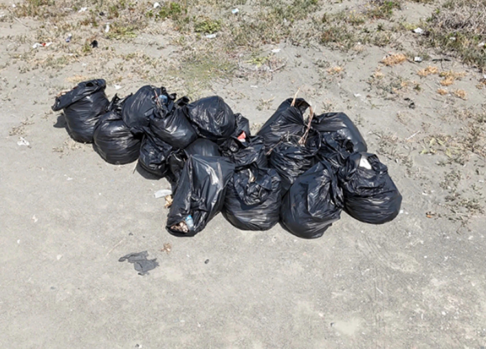 Hatay sahillerinde alarm verildi: 15 ilçede görülecek!