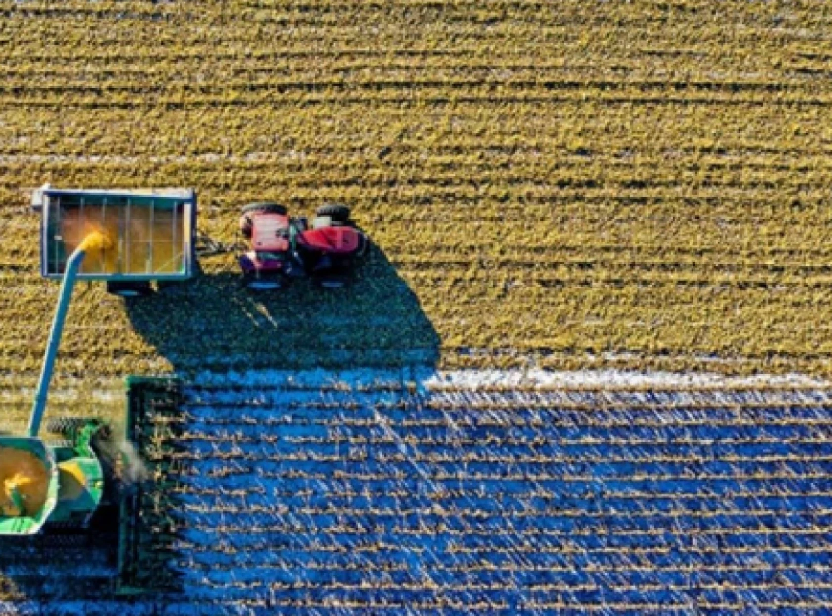 Çiftçilere müjde: 349 milyon liralık destek ödemesi hesaplarda