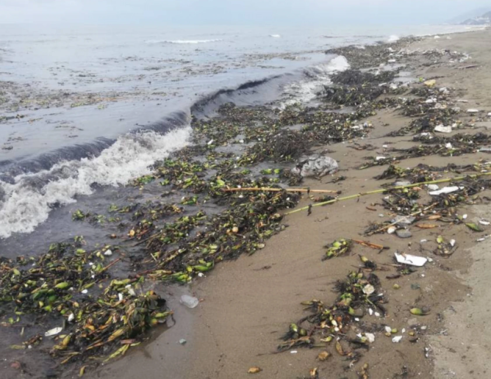 Hatay'daki sahiller yaza hazırlanıyor!
