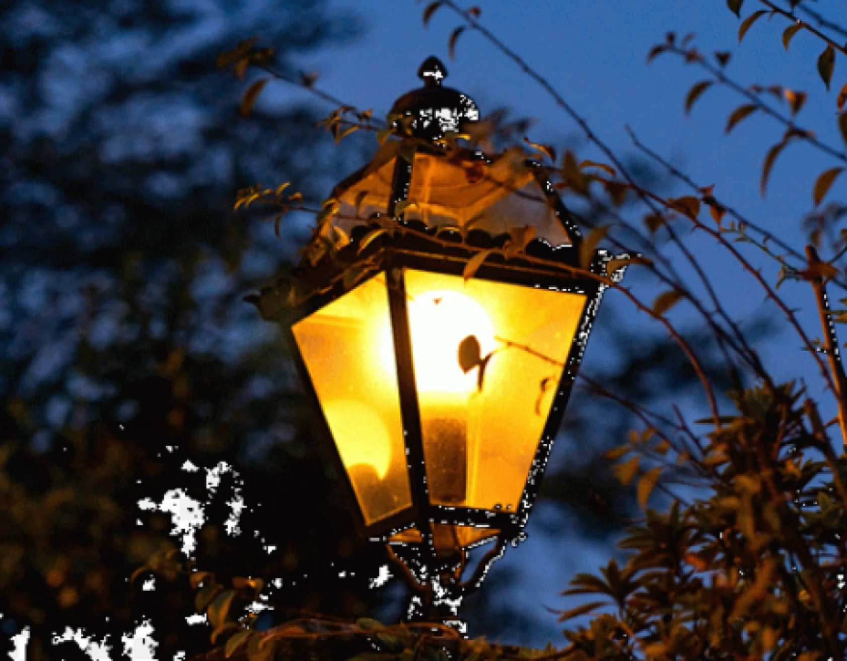 Antakya için elektrik kesintisi uyarısı verildi: Birçok adreste görülmesi bekleniyor!