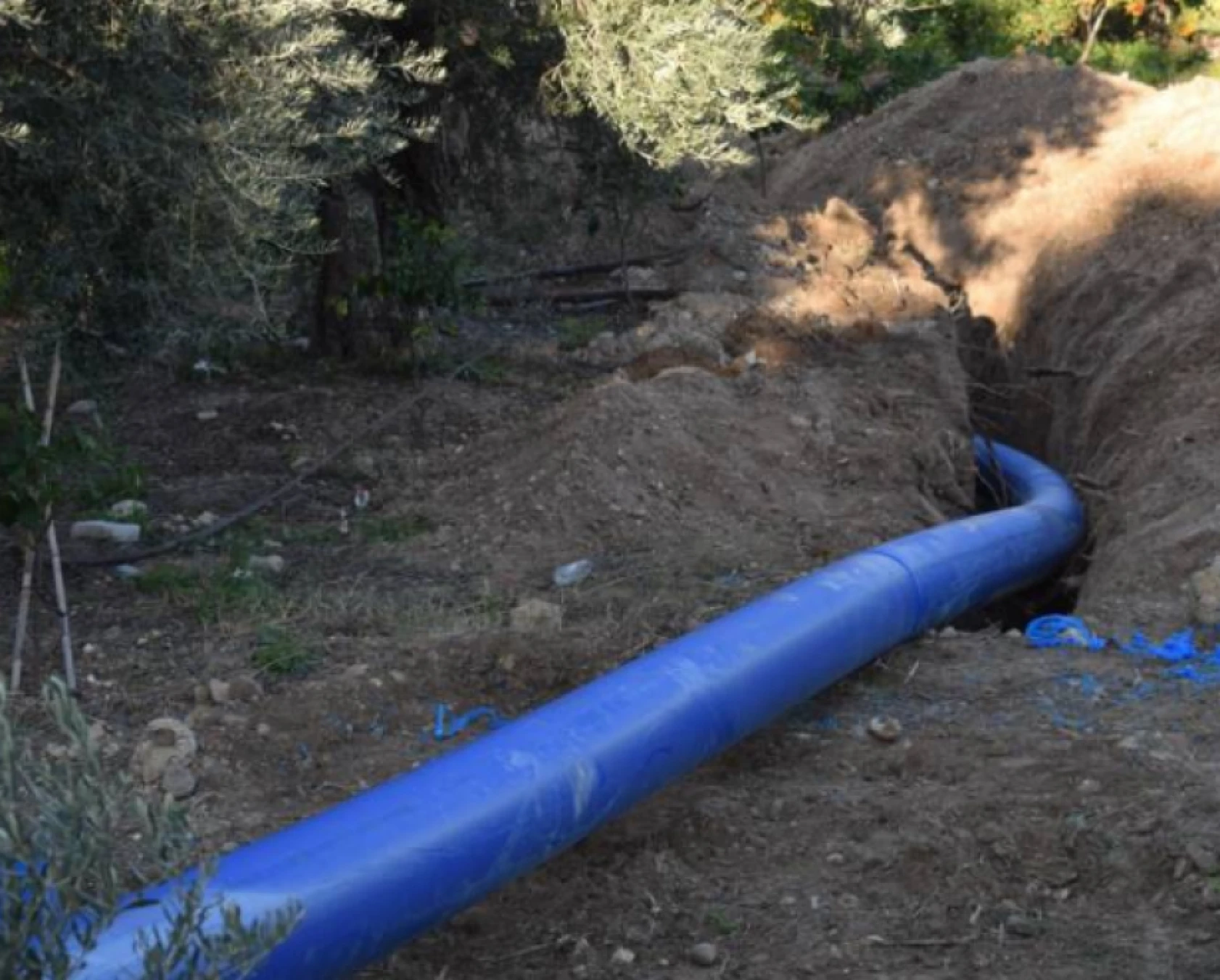 Hatay'da çiftçilere destek çalışmaları devam ediyor!