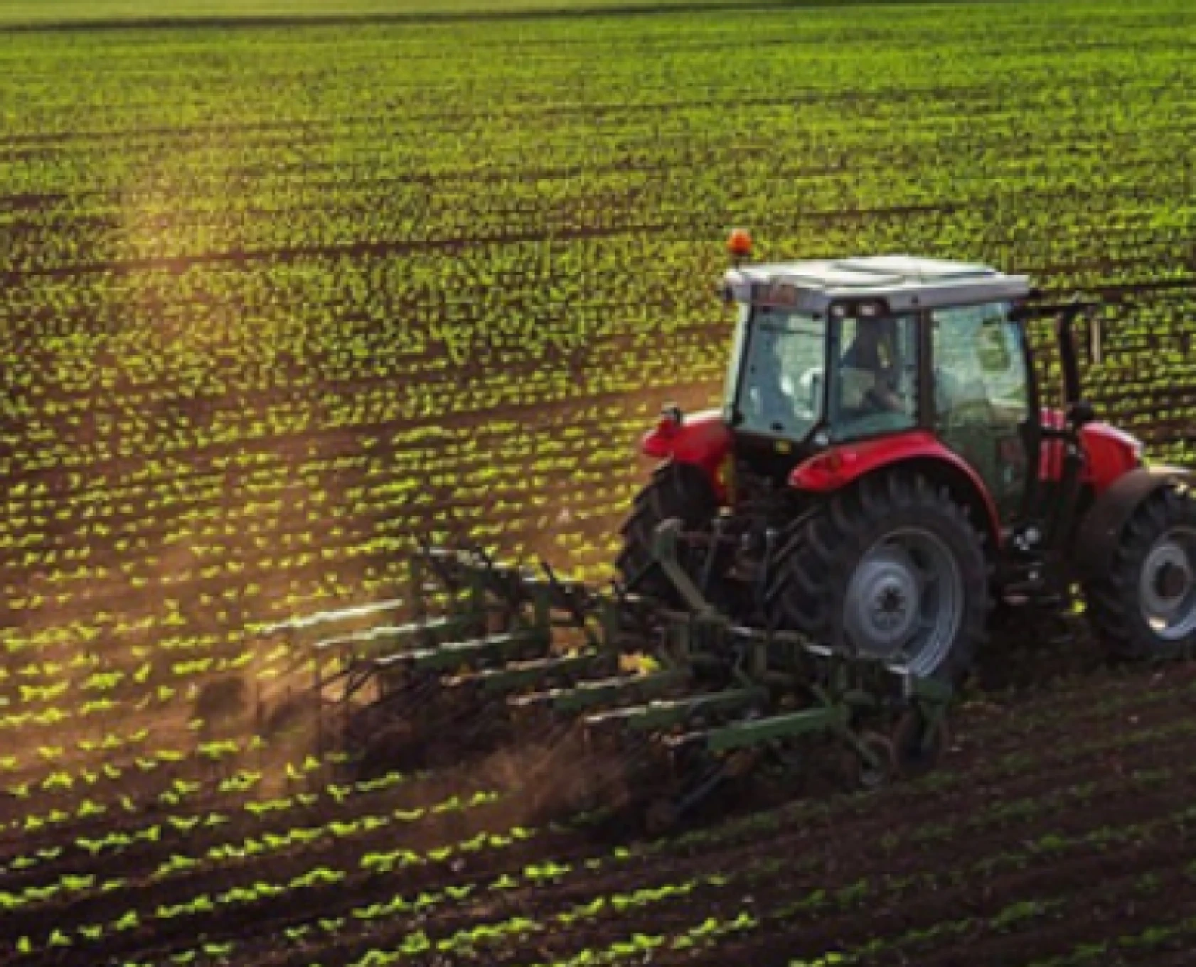 Bakan Yumaklı'dan Hataylılara müjdeli haber: Ödemeler bugün başlıyor! Hesapları kontrol etmeyi unutmayın!