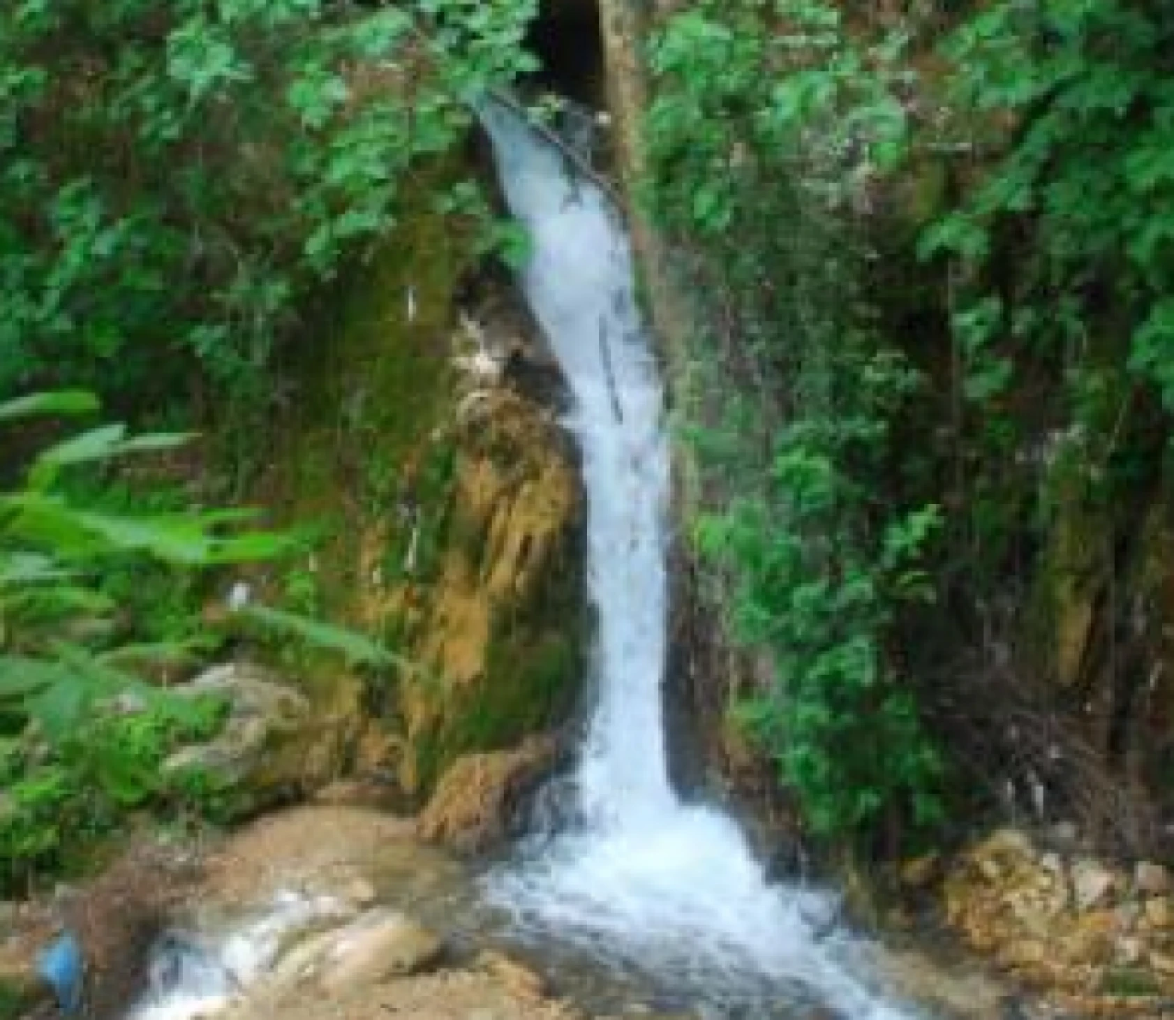 Hataylı vekil Harbiye Şelalesini hatırlattı: 'Harbiye Şelaleleri can çekişiyor'