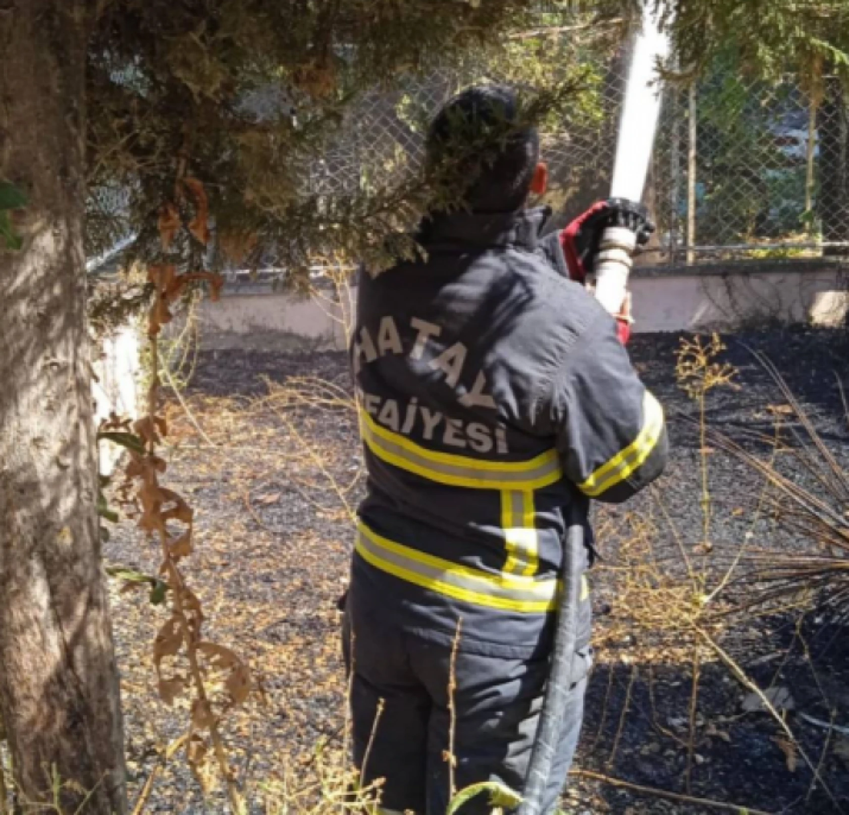 Hatay'da 9 ayda rekor vaka: HBB'nin başarılı karnesi dikkat çekti!