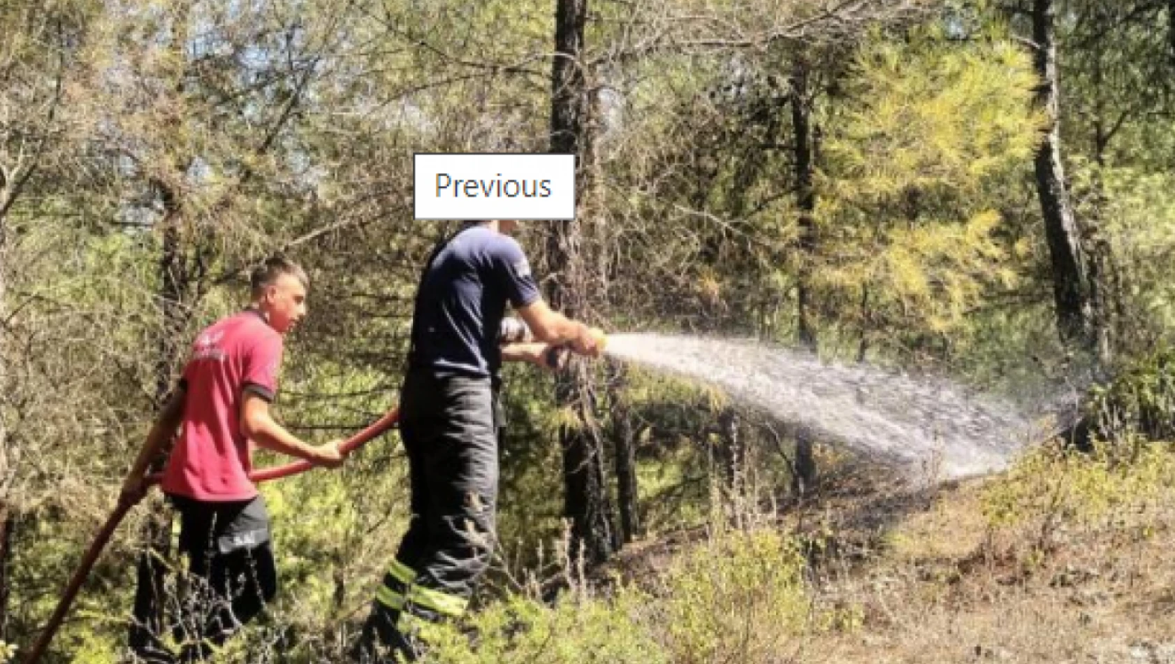 Hatay'da örtü yangını!