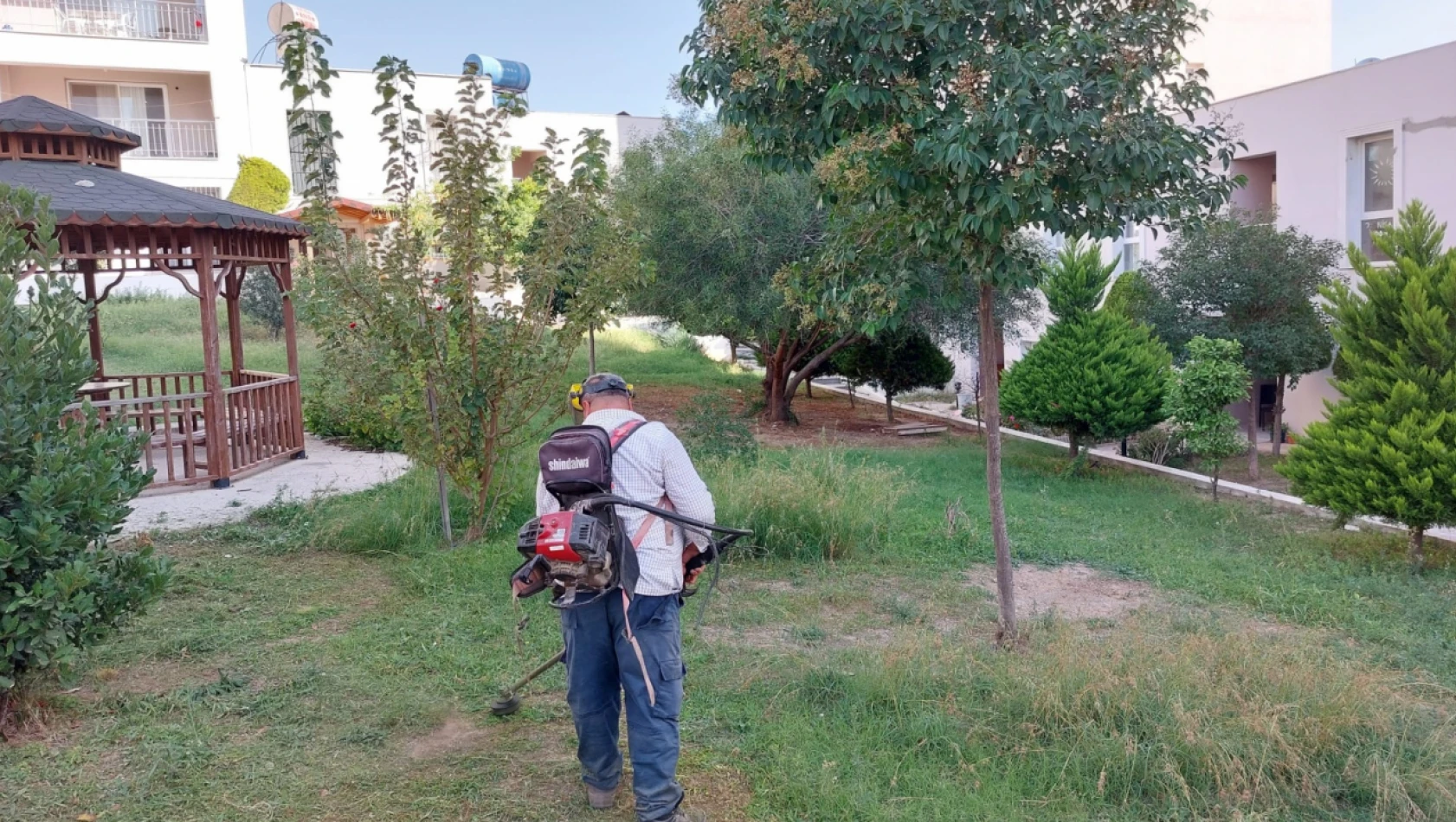 Hatay'da yeşillendirme çalışmaları son sürat devam ediyor!