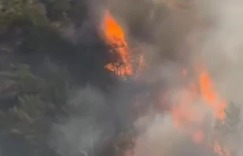 Hatay'da orman yangını: Ekipler alevlere karşı zamanla yarışıyor!