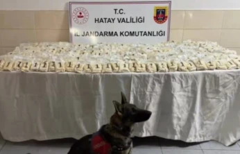 Hatay dahil 29 ilde dev operasyon!