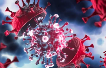 Hindistan'da Nipah alarmı: Dünya yeniden salgın sonrası kapanmaya mı gidecek?