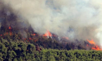 Suriye'de çıkan yangın Hatay'a sirayet etti!