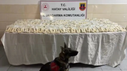 Hatay dahil 29 ilde dev operasyon!