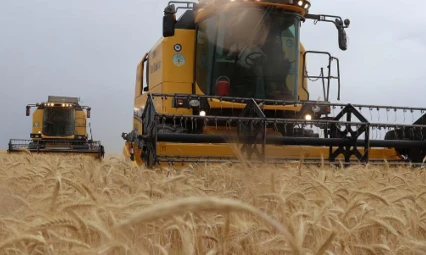 Bakan'dan müjde: Hesapları kontrol etmeyin unutmayın: Ödemeler yapıldı!