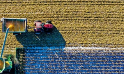 Çiftçilere müjde: 349 milyon liralık destek ödemesi hesaplarda