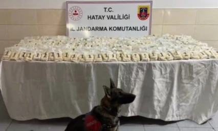 Hatay dahil 29 ilde dev operasyon!