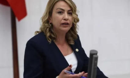 Hataylı vekilden, Bakan Kuruma eleştiri: 'Yurttaşlarımıza hizmet etmek zorundasınız'