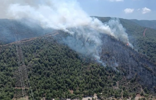 Son Dakika! Hatay'da orman yangını