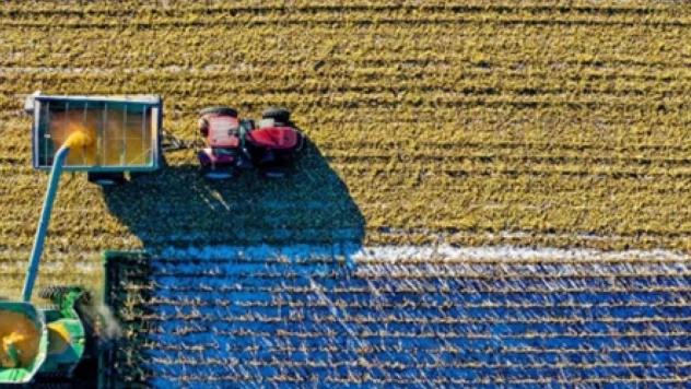 Çiftçilere müjde: 349 milyon liralık destek ödemesi hesaplarda