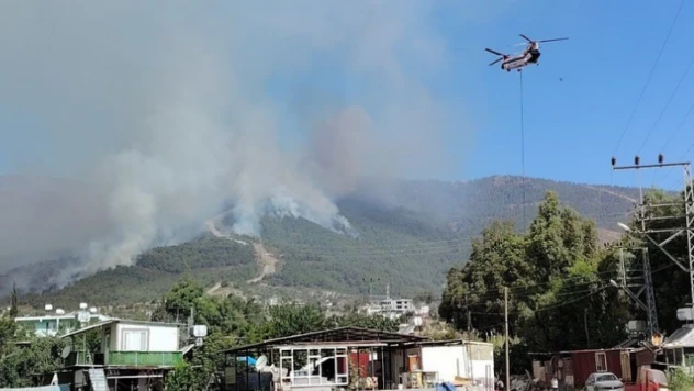 Hatay'daki yangında zarar bilançosu açıklandı: 95 hektar ormanlık alan kül oldu!