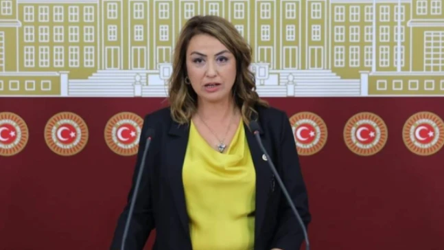 CHP'li Kara, Hatay'ın sorunlarını TBMM gündemine taşıdı