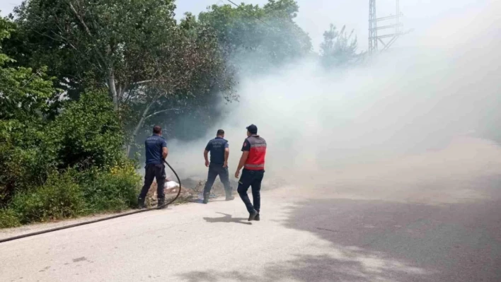 Hatay'da ağaçlık alan yandı!