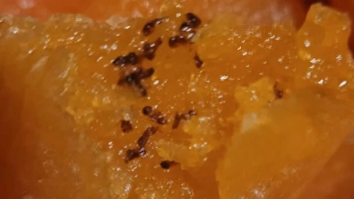 Hatay'da gıda skandalı iddiası: Aldığı üründen bakın ne çıktı?