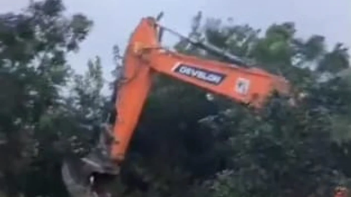 Hatay'da narenciye ağaçları kesiliyor: Vatandaş direniyor!